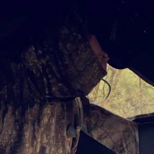 Meet your Posher, Mike